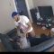 Caught on CCTV.ain’t no hoe gon’ say NOPE to that💀